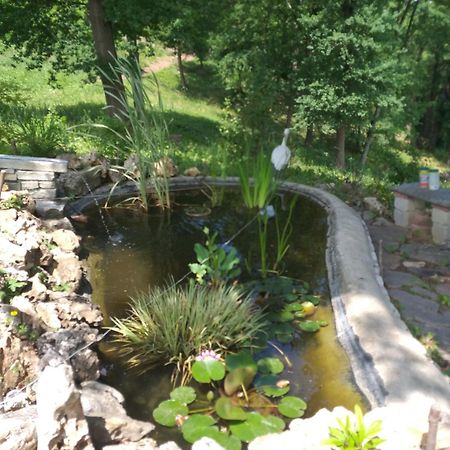 B&B La Bianchina Monale Dış mekan fotoğraf