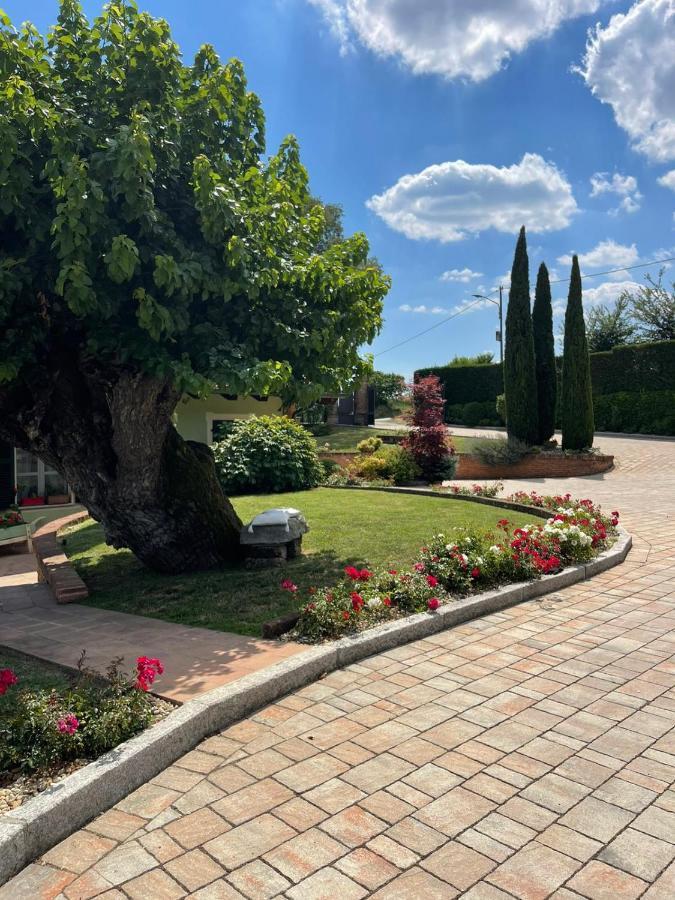 B&B La Bianchina Monale Dış mekan fotoğraf