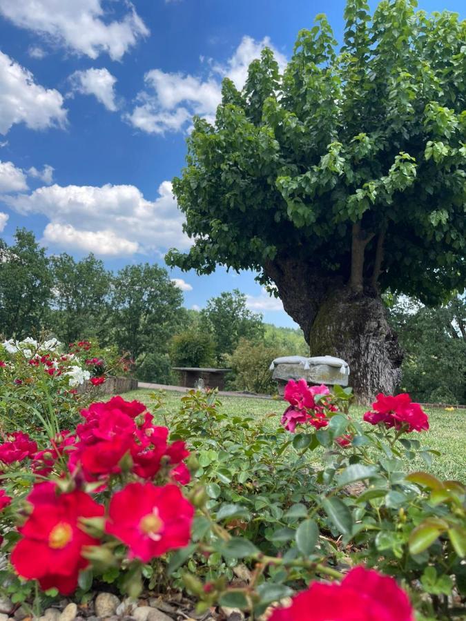 B&B La Bianchina Monale Dış mekan fotoğraf