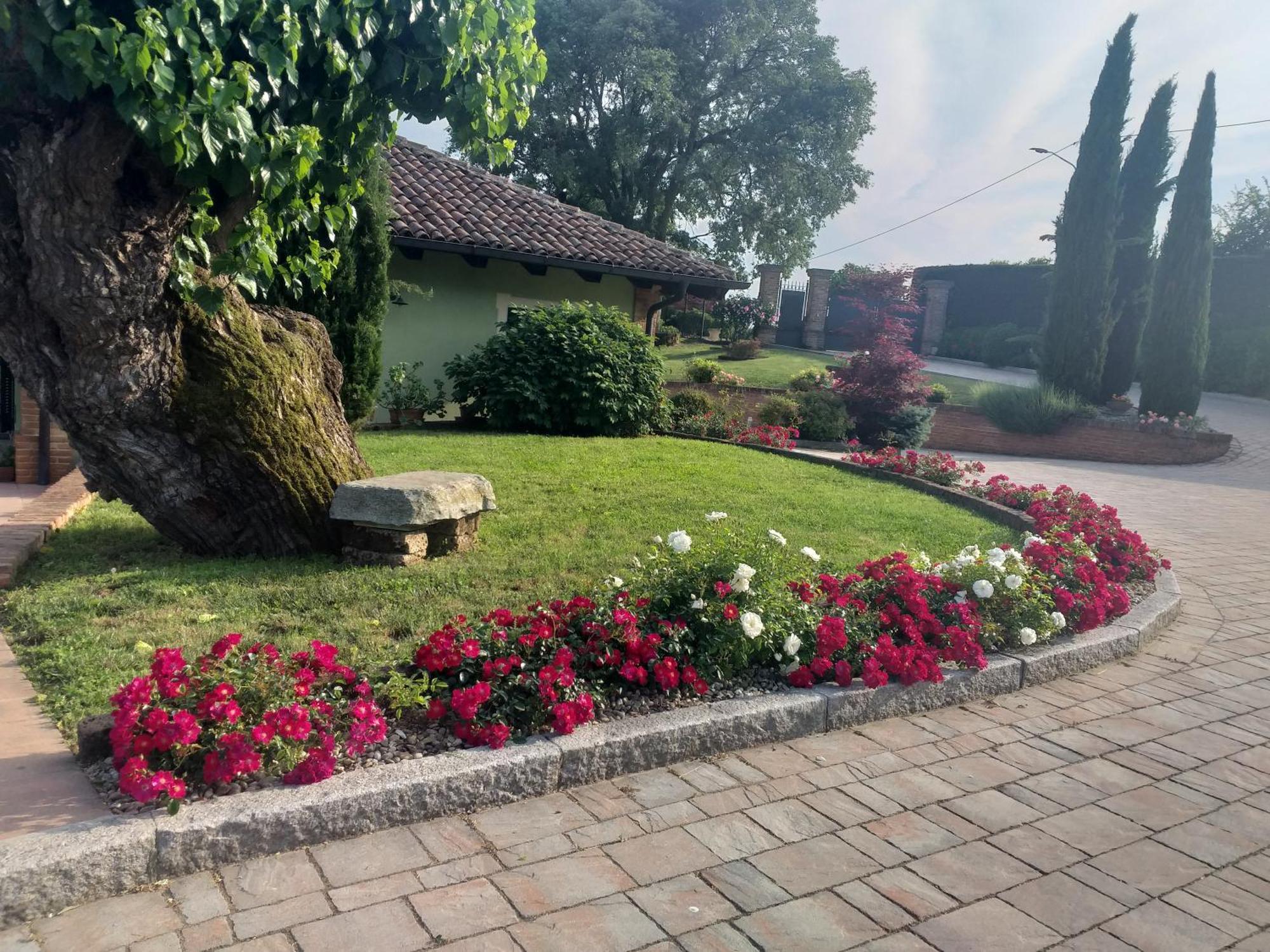 B&B La Bianchina Monale Dış mekan fotoğraf