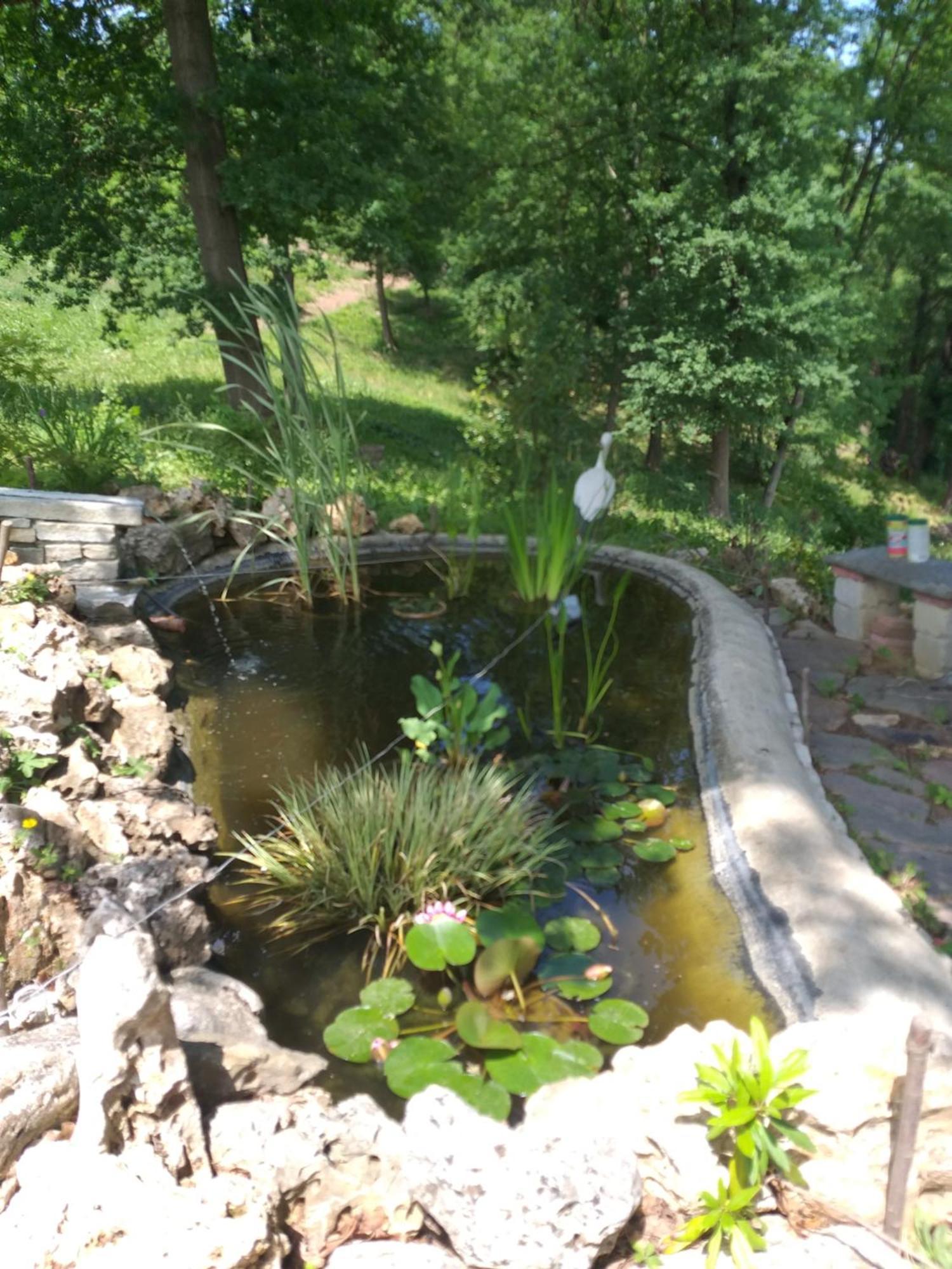 B&B La Bianchina Monale Dış mekan fotoğraf